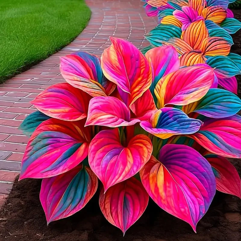 🌿Premium Rare Hosta Seeds 💥50% Off Today Only