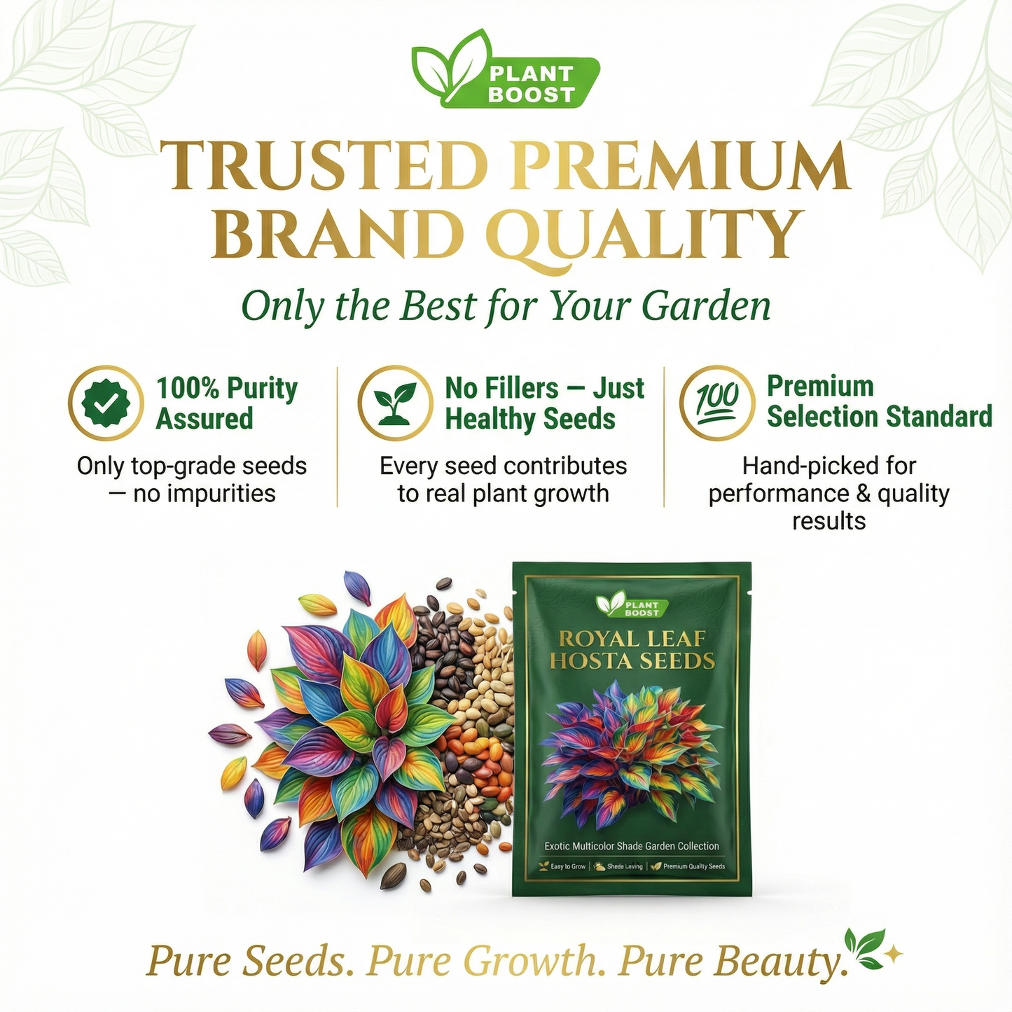 🌿Premium Rare Hosta Seeds 💥50% Off Today Only